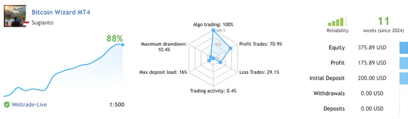 Bitcoin Wizard Review1 800x234