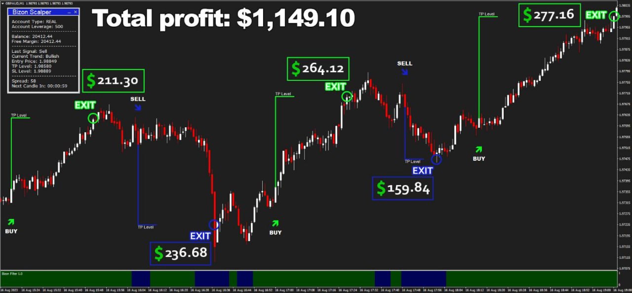 Bizon Scalper Result1