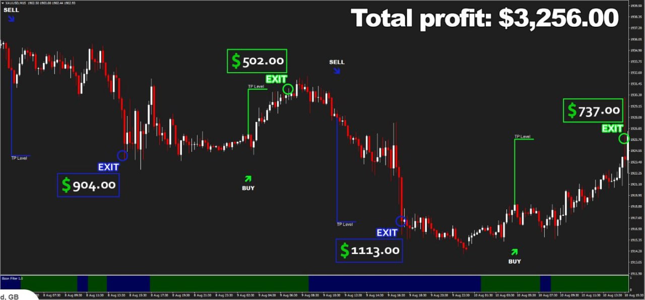 Bizon Scalper Result2