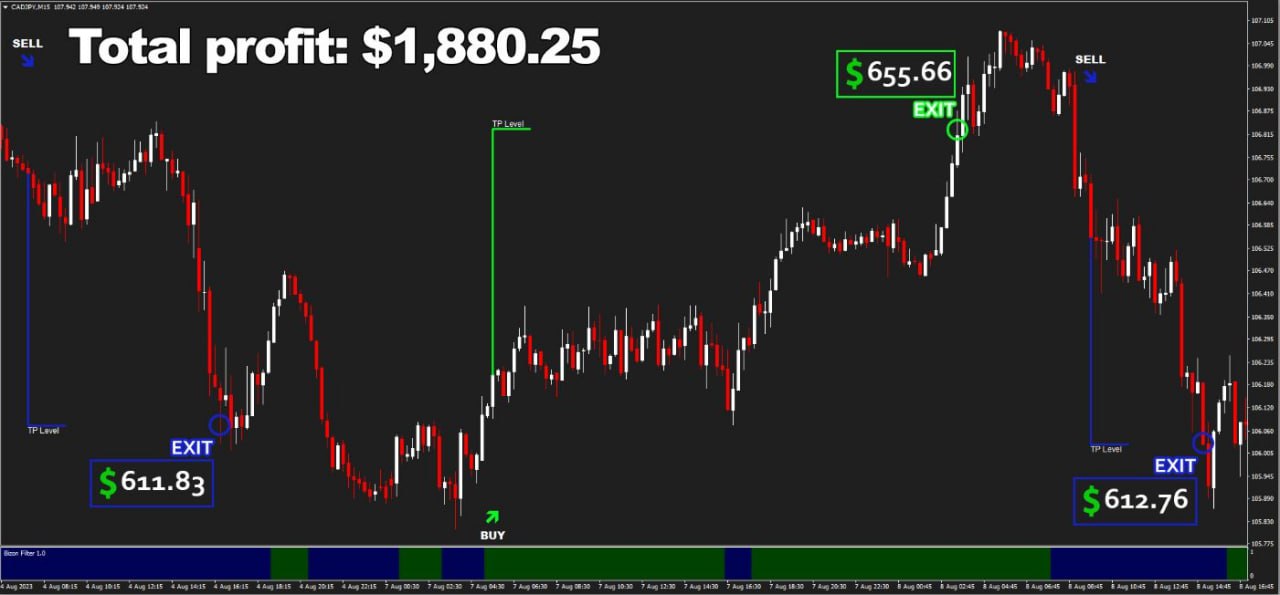 Bizon Scalper Result3