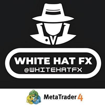 White Hat Fx Ea Forexeasmall