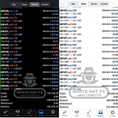 White Hat Fx Ea Result1