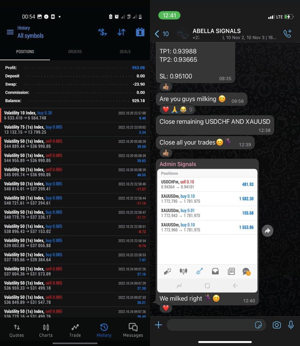 Abella Scalping Robot Result3