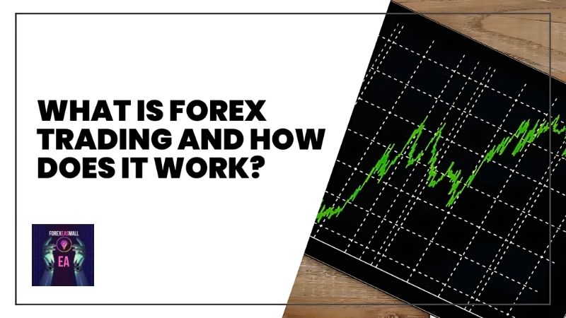 What Is Forex Trading