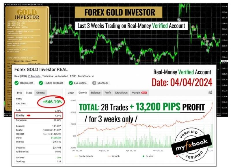 Forex Gold Investor Ea Result2