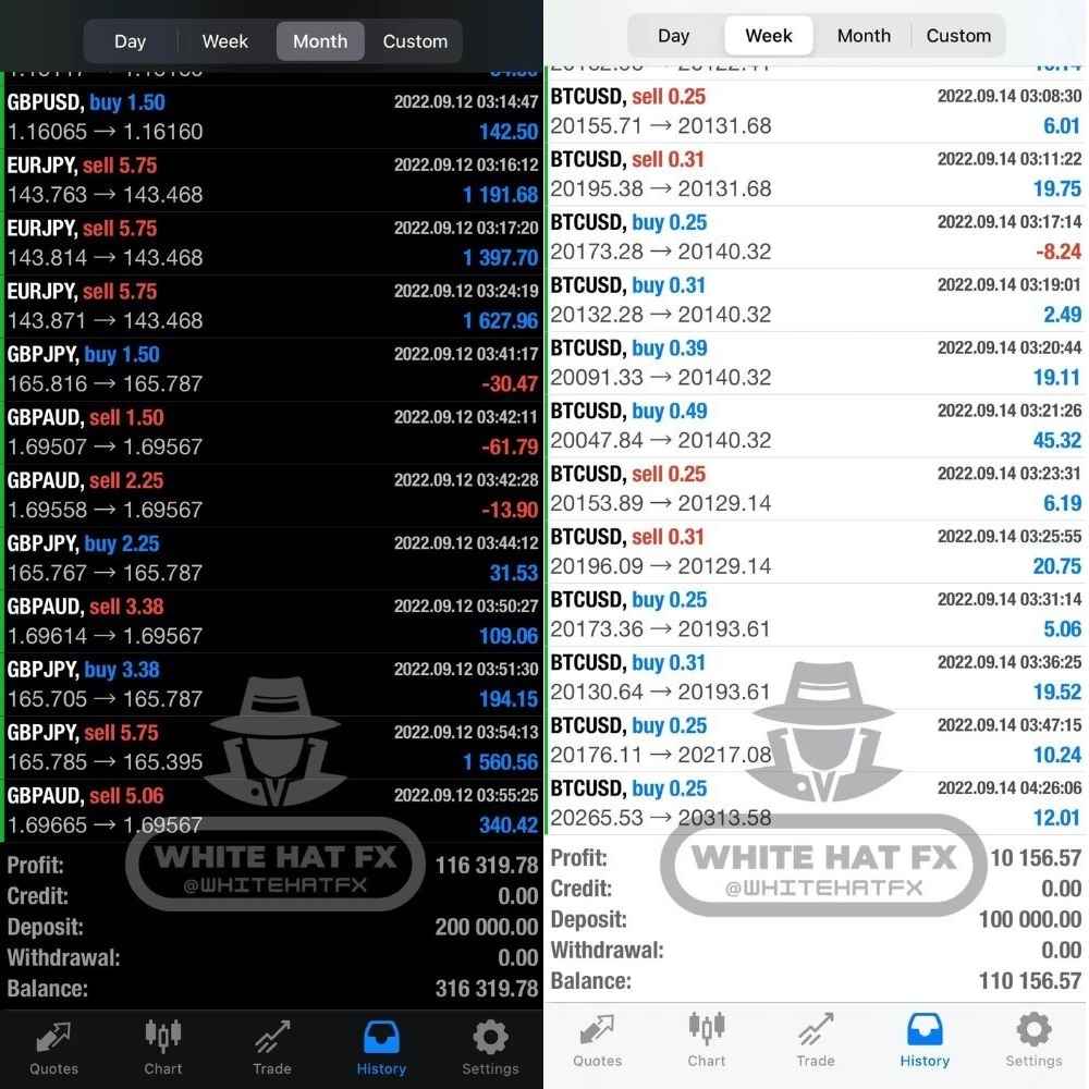 White Hat Fx Ea Review