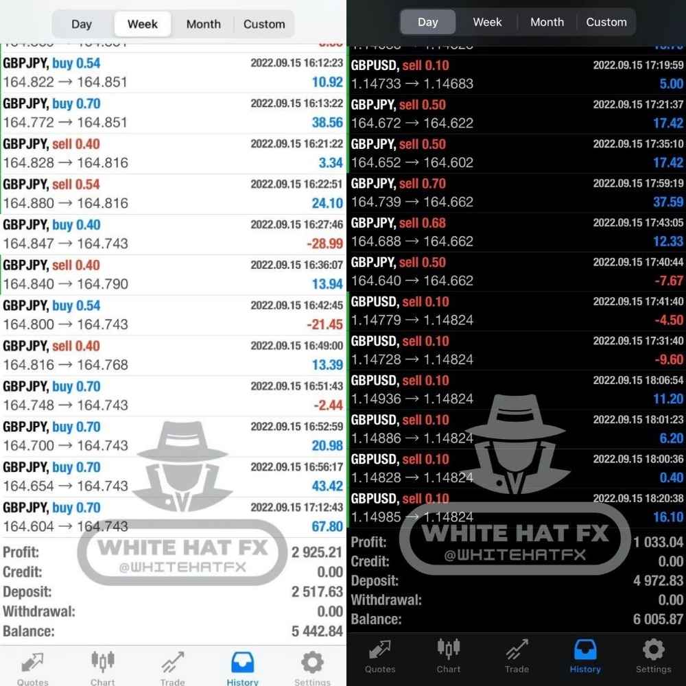 White Hat Fx Ea Review1