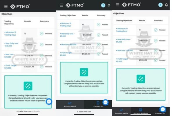 White Hat Fx Result And Challenge Passes